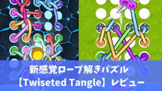 アイキャッチ　新感覚ロープ解きパズル 【Twiseted Tangle】レビュー